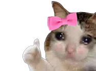 :chat_kheyette: