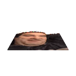 :PoteAdZoom2: