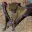 Photo de profil de Puceau_zinzin