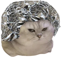 :chalu: