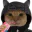 Photo de profil de Programmafion