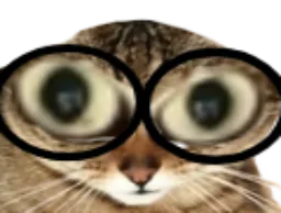:Chat_Souvarine:
