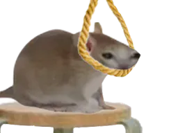 :chrat_suicide:
