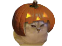 :Chatrouille: