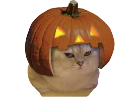 :Chatrouille:
