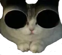 :chatreadyent: