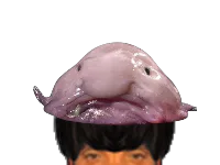 :Blobfish_: