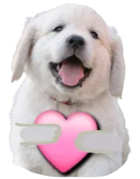 :Chien_coeur: