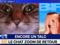 :ChatZmedia: