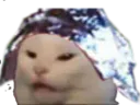 :complot_chat: