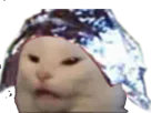 :complot_chat: