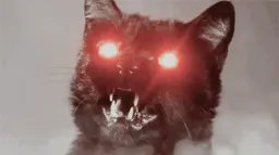:Chat_demon_666: