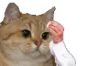 :sodium_sueur: