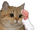 :sodium_sueur: