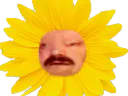 :celestin_tournesol: