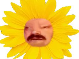 :celestin_tournesol: