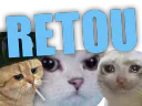 :chatretou2: