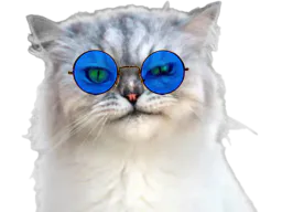 :chat_mechant: