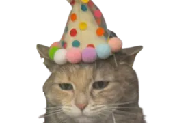 :chat_anniversaire: