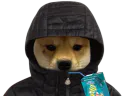 :ChienCaprisun: