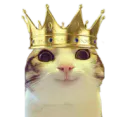 :chat_marrant_roi: