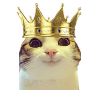 :chat_marrant_roi: