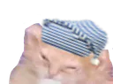:zzzzz: