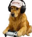 :ChienManette: