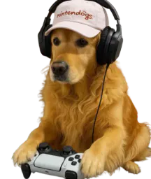 :ChienManette: