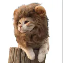 :Rouar: