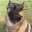 Photo de profil de BlueSky