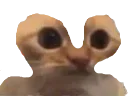 :Chatchelououais: