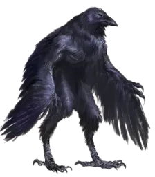:oiseau_malefique: