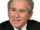 :bush: