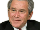 :bush: