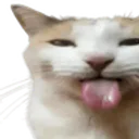 GeorgeABiteMole