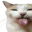 Photo de profil de GeorgeABiteMole