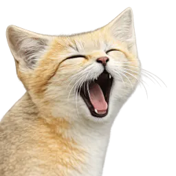 :chat_du_desert: