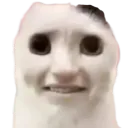 :ChommeDegout:
