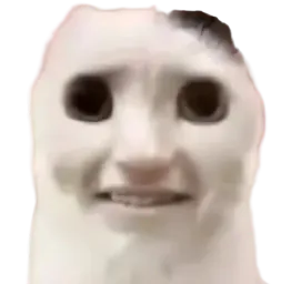 :ChommeDegout:
