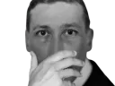 :guenon_main: