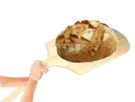 :Pain10:
