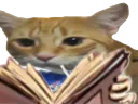 :Chat_Caprisun_grimoir_livre: