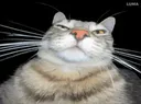 :CS_Regarde: