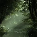 Aesthetic