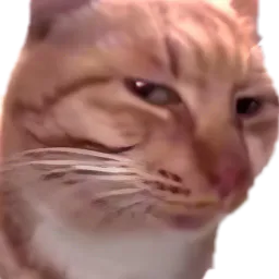 :ChatSuspicion:
