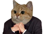:chat_zemmour: