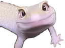 :gecko: