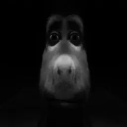 :Donkey:
