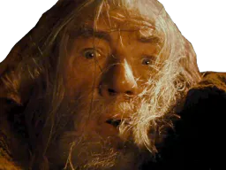 :gandalf_peur: